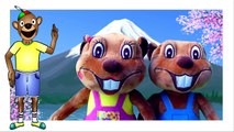 'Busy Beavers From Amazon' _ Buy Billy & Betty Beaver Plush Toy Animals, Kids Stuffed Toys-fSoFLwjWq8w