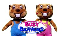 'Busy Beavers From Amazon' _ Buy Billy & Betty Beaver Plush Toy Animals, Kids Stuffed Toys-tZWumQEPVl0