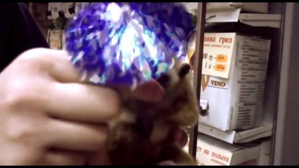 Приколы 2014 2015 Смешное видео Обломы приколы и неудачи!