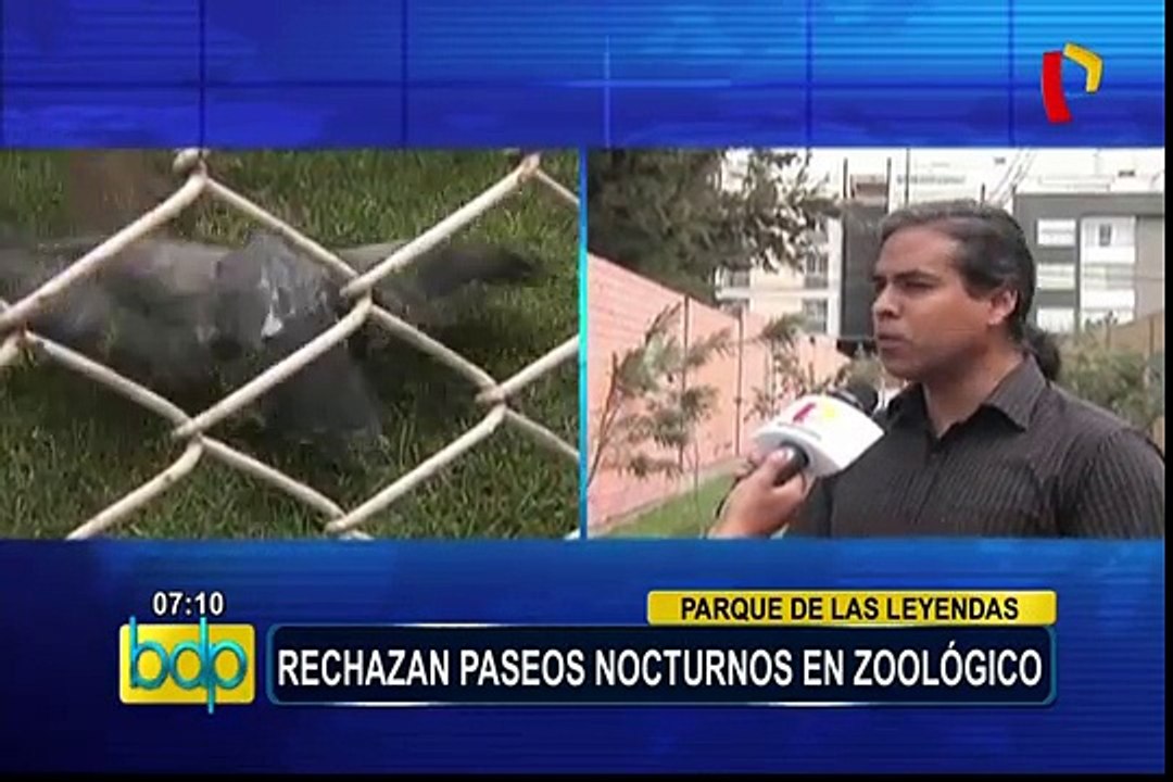 Parque de las Leyendas: rechazan paseos nocturnos en zoológico