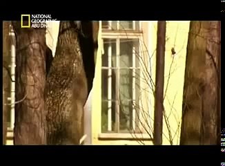 ‫ملفات محيرة راس بوتن‬