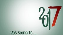 Voeux 2017 - Hôtel Ibis Nantes Saint Herblain