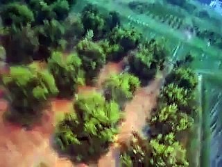 Leurs montgolfière se crashent et ils sont morts de rire