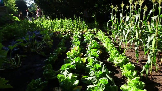 Miss Peregrine's Home For Peculiar Children - Set Tour with Ransom Riggs (2016)-w5BSFPkFfaU