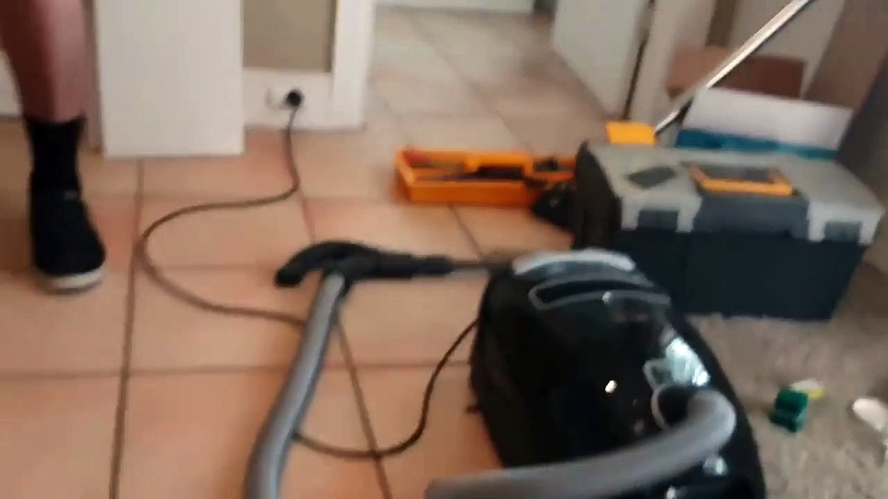 Quand un insecte géant chasse et dévore une araignée... Flippant!