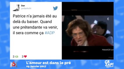 Les internautes commentent L'amour est dans le pré !