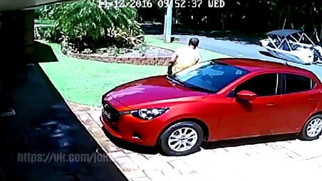 ЛУЧШИЕ ПРИКОЛЫ ДЕКАБРЬ 2016 | Лучшая Подборка Приколов #181