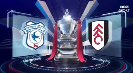 Cardiff City vs Fulham - Match Highlights