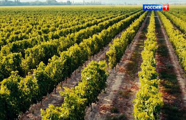 Саша добрый, Саша злой 1 серия