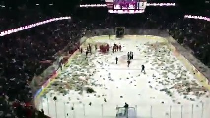 Приколы 2015! Забросали игроков хоккея! Жесть! Приколы в спорте!