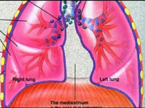 Doğru Nefes ve Doğru Ses