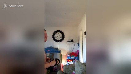 Scared man tries to tackle spider on ceiling, gets hurt