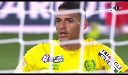 Maurice Dale Goal HD - Nantes 0-1 Nancy - 10.01.2017