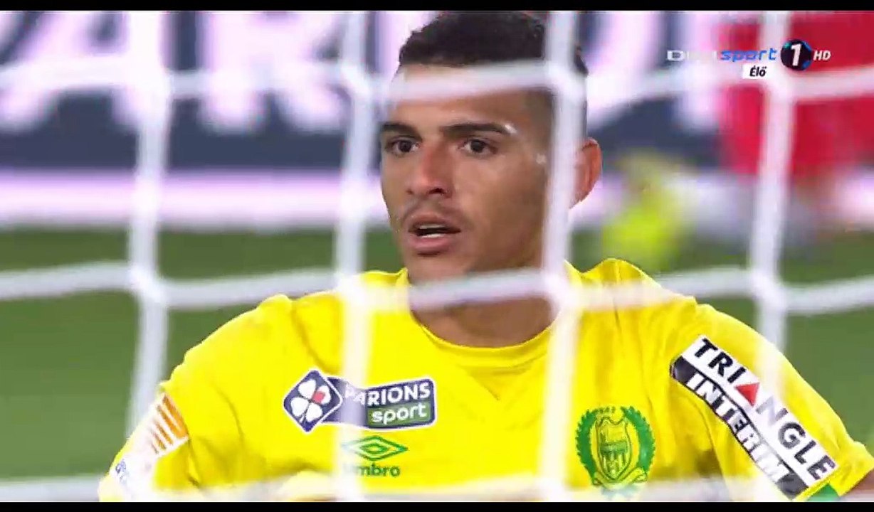 Maurice Dale Goal HD - Nantes 0-1 Nancy - 10.01.2017