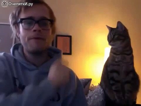 Реакция кота на глупую рожу хозяина
