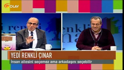 Yedi Renkli Çınar 06 01 2017