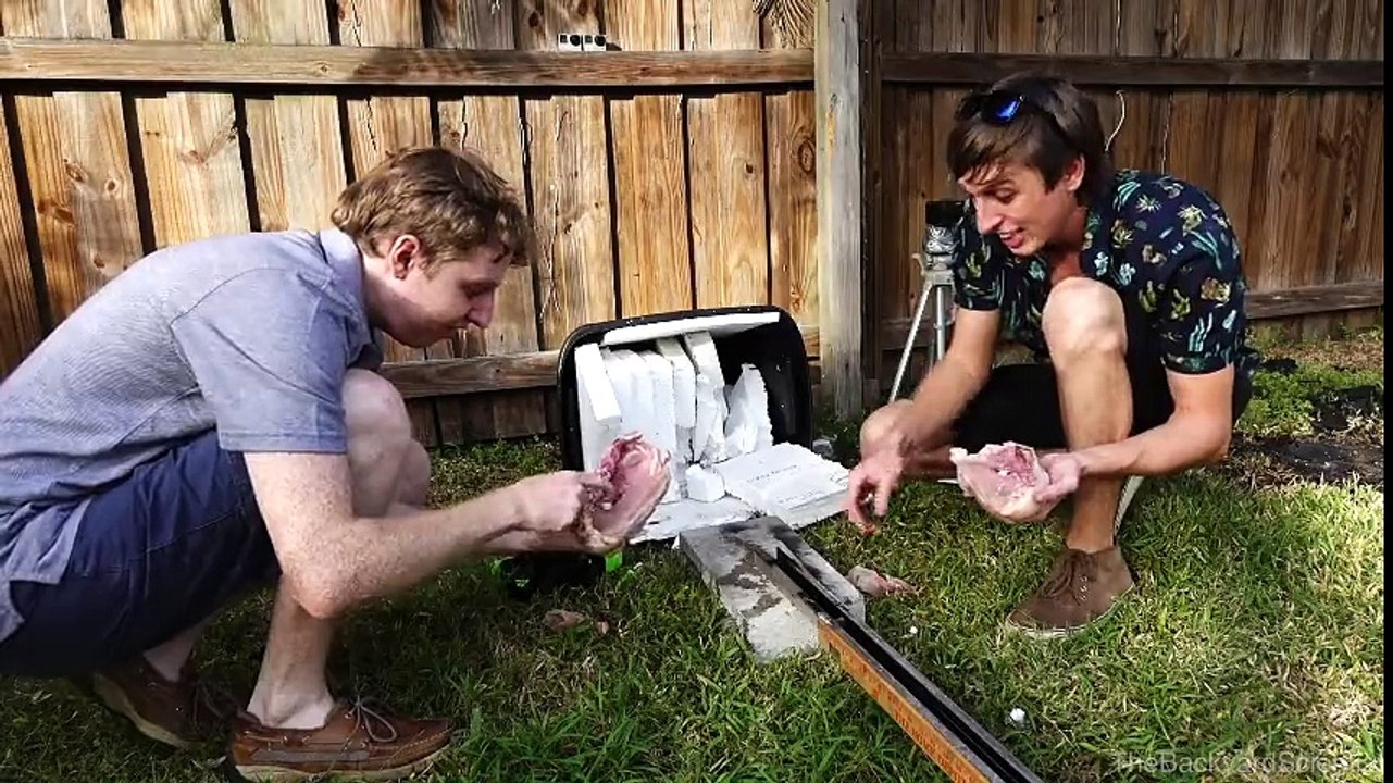 Cutting Various Objects with a Moving Knife 240 Km / hr