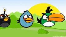 Angry Birds Finger Family Nursery kids rhyme | finger family with angry birds