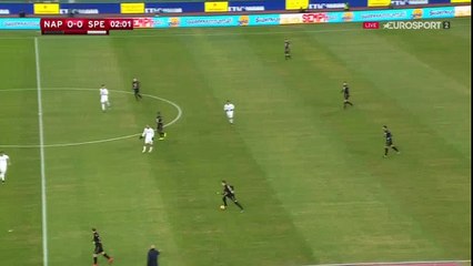 Piotr Zieliński Goal vs Spezia (1-0)