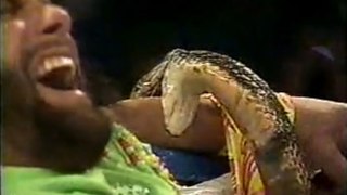WWF History - Andre the GIANT & Jake Roberts feud