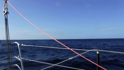 D65 : Rich Wilson in pleasant company / Vendée Globe