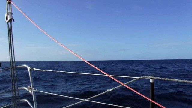 D65 : Rich Wilson in pleasant company / Vendée Globe