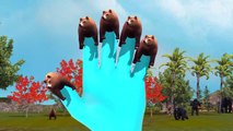 3D Animated Bear Finger Family Rhymes or Children | Top Animal Finger Family Rhymes