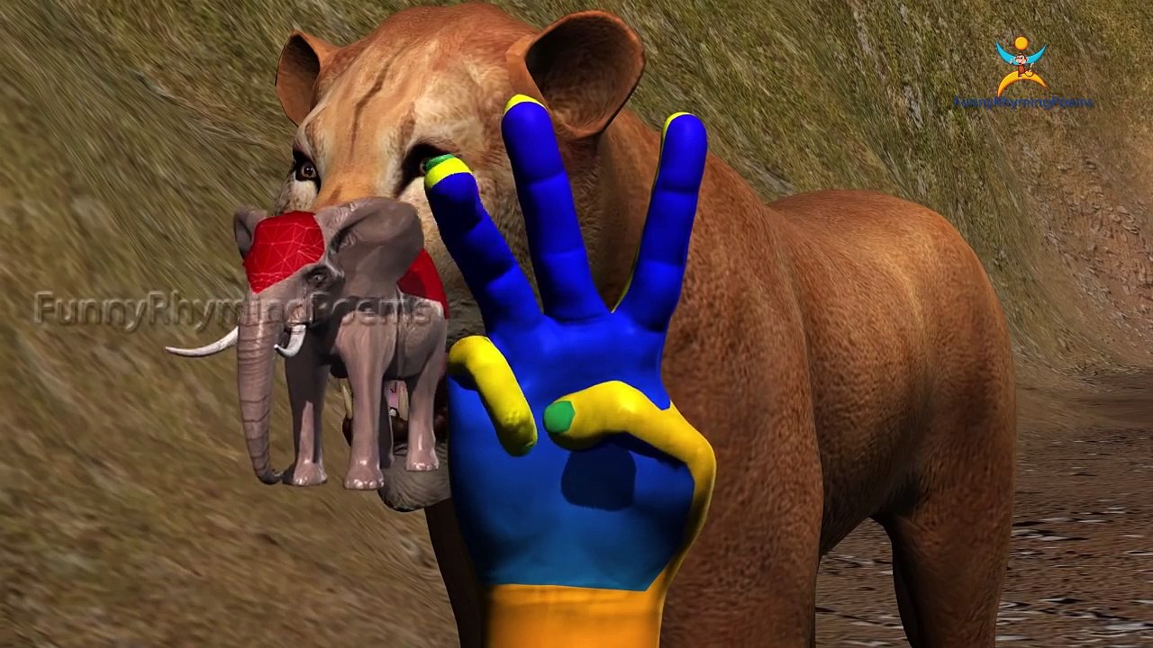 3D Tiger Finger family 3d rhyme | Animated Nursery Children Finger Family song