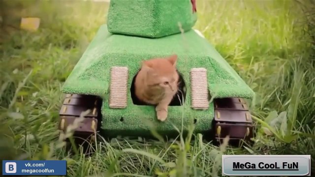 Просто Расслабься и Посмотри на это Приятное Видео