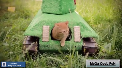 Просто Расслабься и Посмотри на это Приятное Видео