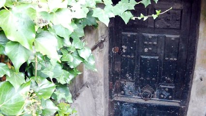 Je suis mon univers 🌌