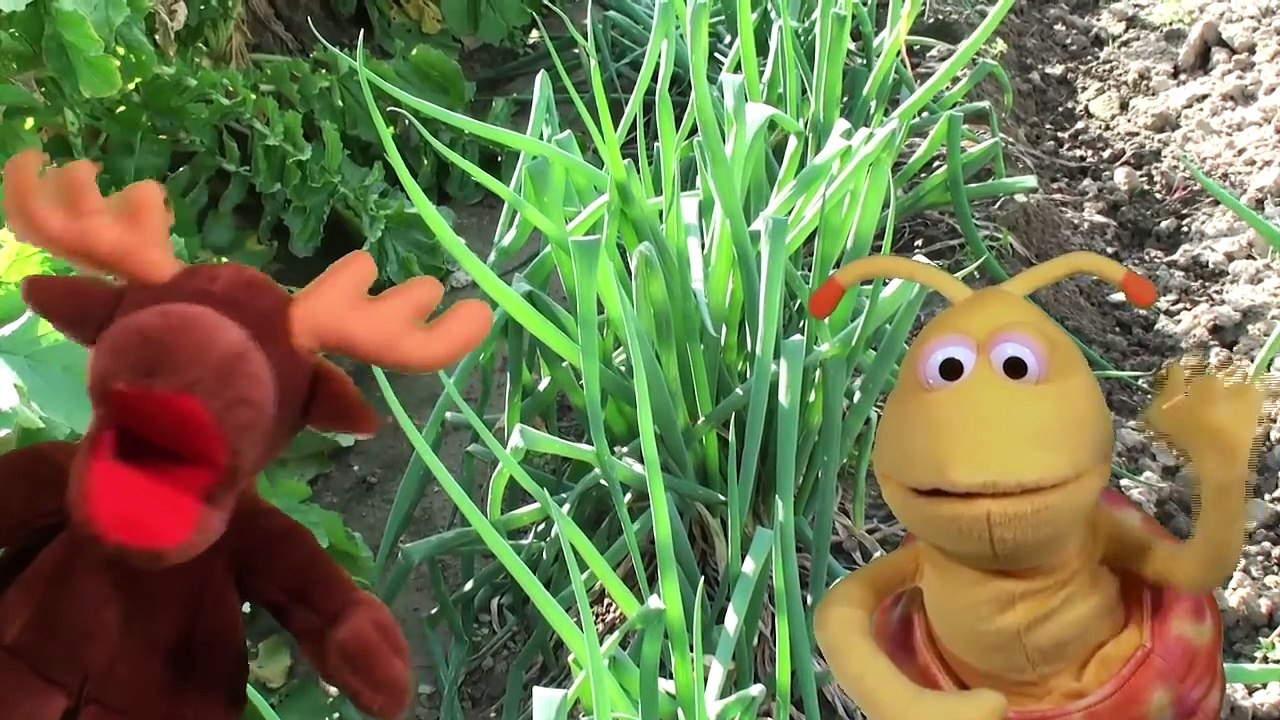 Yummy Vegetables _ Food Song for Kids-YCVindaVQPA