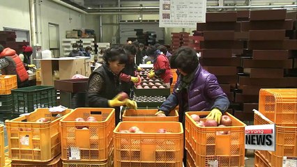 Gov't announces measures to stabilize people's livelihood ahead of Lunar New Year holidays