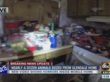Maricopa County: 13 animals, one dead, found in Glendale mobile home