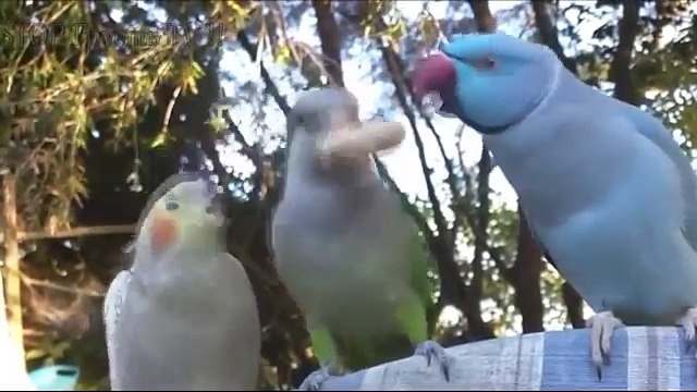 НОВЫЕ ПРИКОЛЫ 2016 Сентябрь ★ ЛУЧШИЕ ПРИКОЛЫ ★ Fail Compilation ★ НЕ ДЕТСКИЕ ПРИКОЛЫ 18 2016 №52