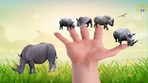 Wild Animal Rhino Finger Family Rhymes For Children | Rhino Finger Family Children Nursery Rhymes