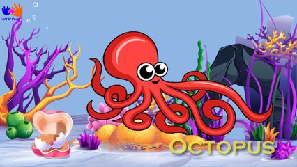 Learn Sea Animals SUPER SIMPLE   Learning Sea Animals Names and Sounds For Kids   Hand Play TV