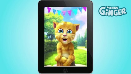 Talking Ginger is Birthday Crazy-kochw0VCMB4