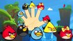 Angry birds Cartoon Finger Family Nursery Rhyme | Cartoon Animation Rhymes