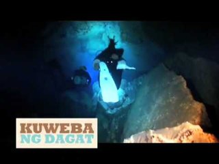 BORN TO BE WILD: Caves and Rays