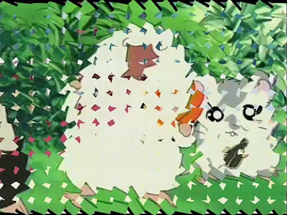 Hamtaro & Bijou will always go on