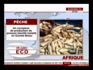 Flash Eco Un complexe de production de poisson bientôt installé en Guinée Bissau/ business 24