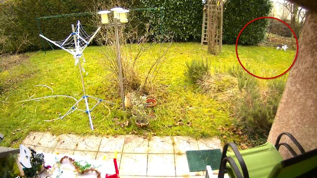 Démo des vidéos (brutes) de la caméra Presence de Netatmo