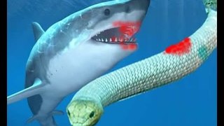 Angry Shark Attack Sea Snake