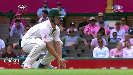 Me commentary on cricket nut shots