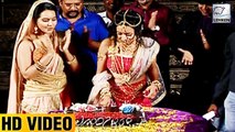 Shweta Basu Prasad Birthday Celebration On Set | Chandra Nandini