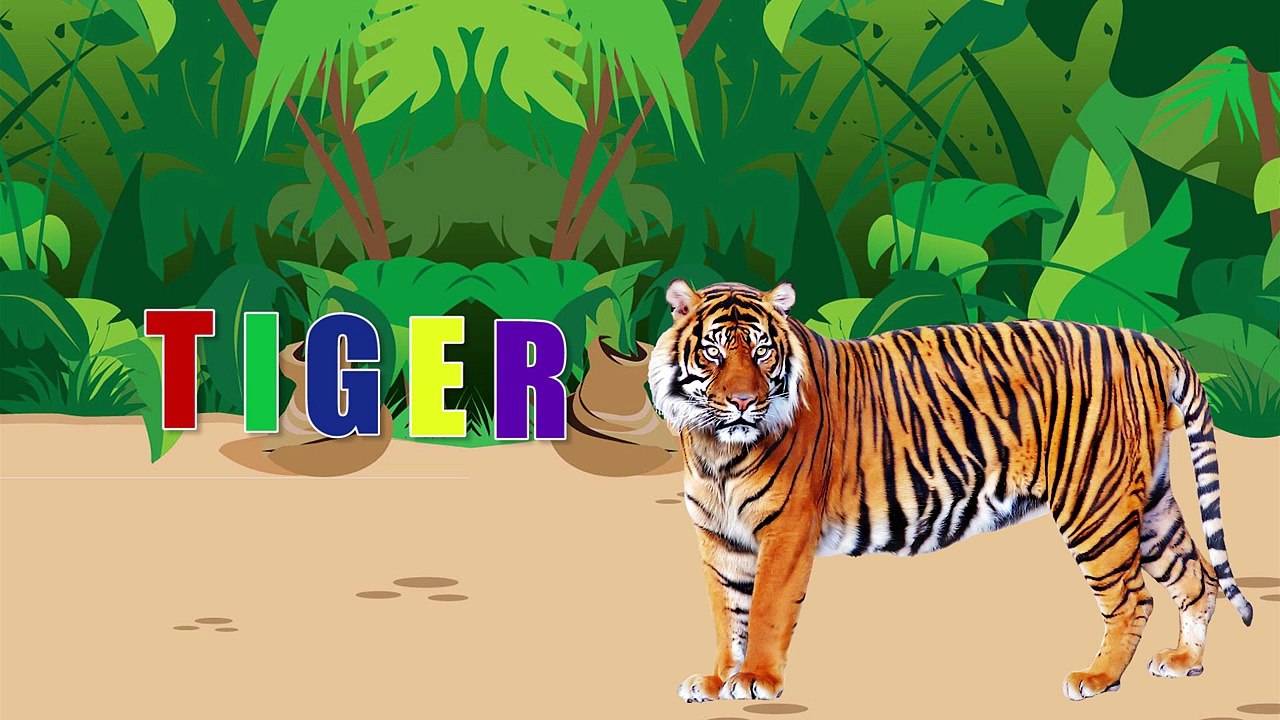 ANIMALS NAMES