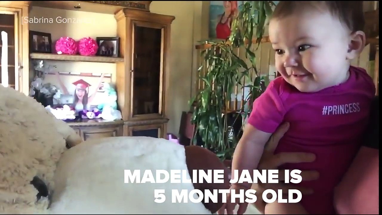 This Baby Just Received The Biggest Teddy Bear Ever-dwl4bq03YDU