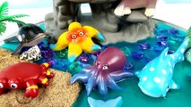Learn Learning Names of Sea Animals Shark Kids Children DIY Peppa Pig Slime Kinetic Sand Mini Beach