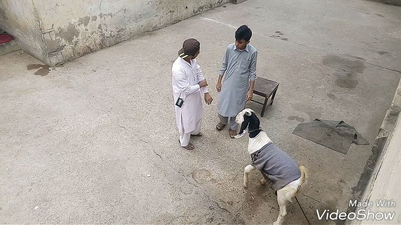 Gulshan VinZz  (Camera Ki Annk Latke Ko Bhi Sidha Kardhe)